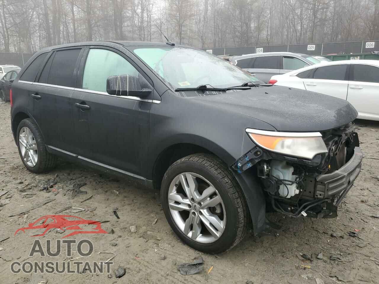 FORD EDGE 2011 - 2FMDK4KCXBBA33000