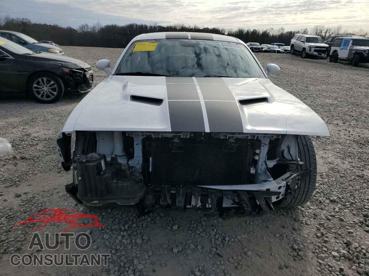 DODGE CHALLENGER 2019 - 2C3CDZAG7KH507577