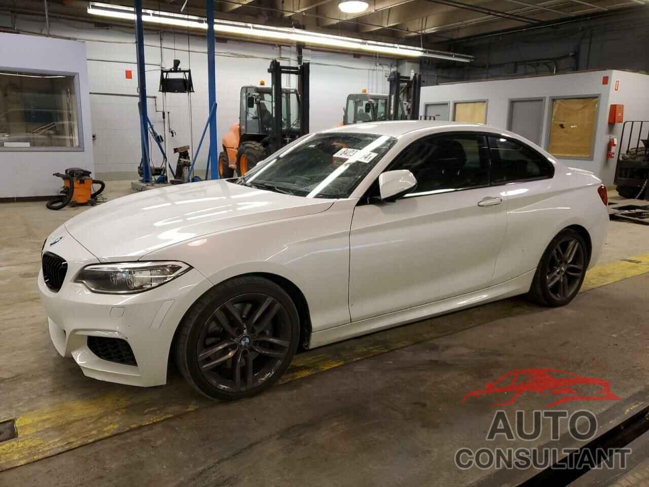 BMW 2 SERIES 2015 - WBA1F5C53FV343580