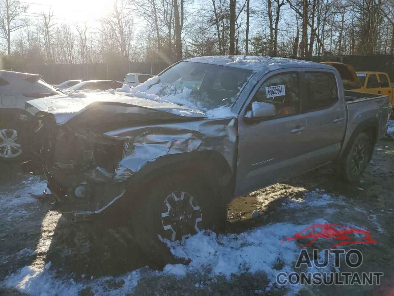 TOYOTA TACOMA 2023 - 3TMCZ5AN8PM638790
