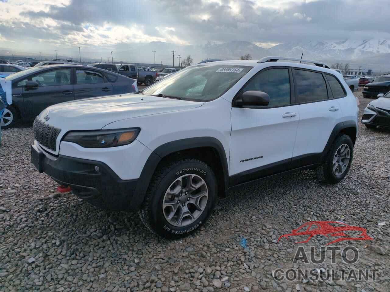 JEEP CHEROKEE 2020 - 1C4PJMBN0LD638984