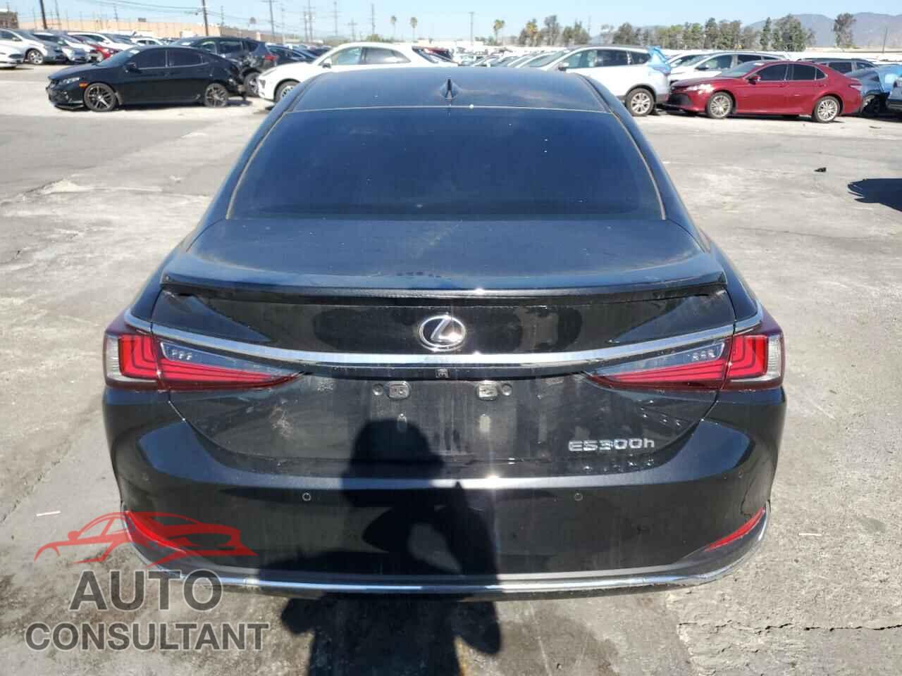 LEXUS ES300 2024 - 58ADA1C11RU048187
