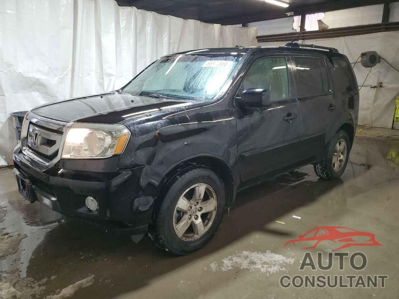 HONDA PILOT 2011 - 5FNYF4H55BB098066
