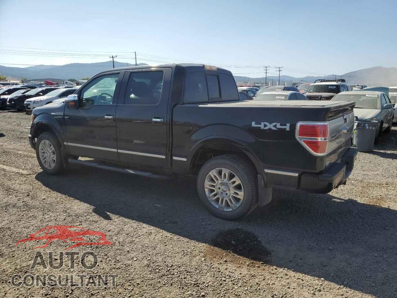 FORD F-150 2011 - 1FTFW1E6XBFA02012