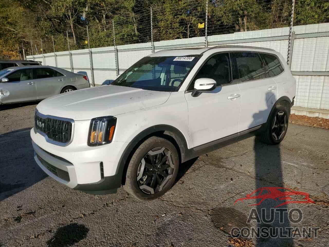 KIA TELLURIDE 2024 - 5XYP34GCXRG434284