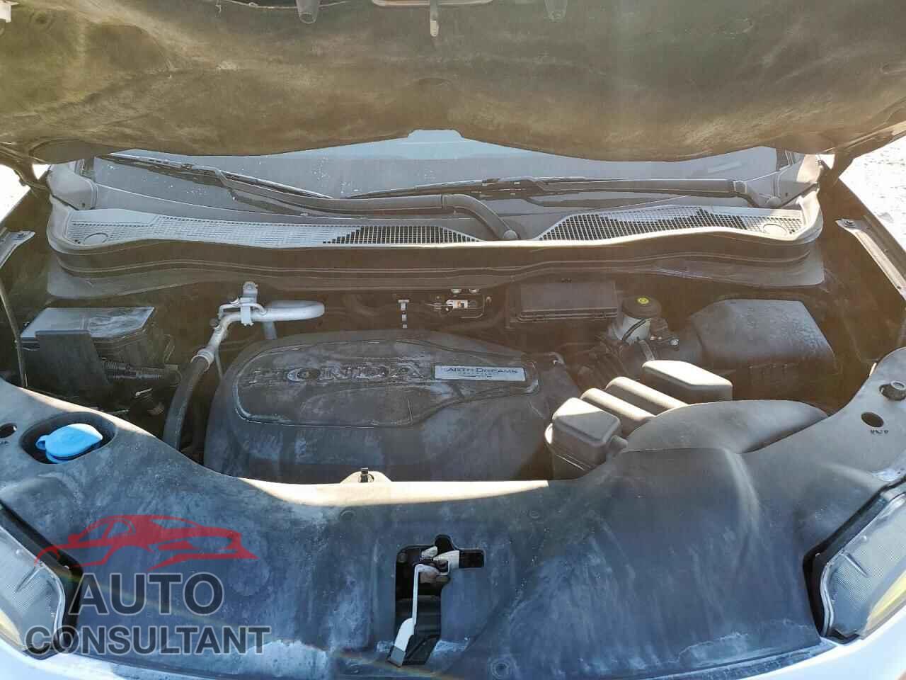 HONDA PILOT 2019 - 5FNYF6H56KB024702