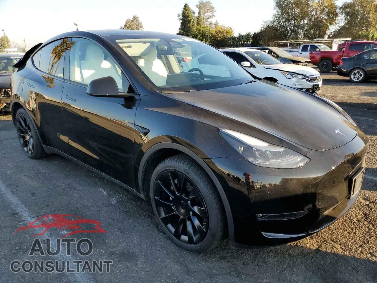 TESLA MODEL Y 2024 - 7SAYGDEE2RA234827