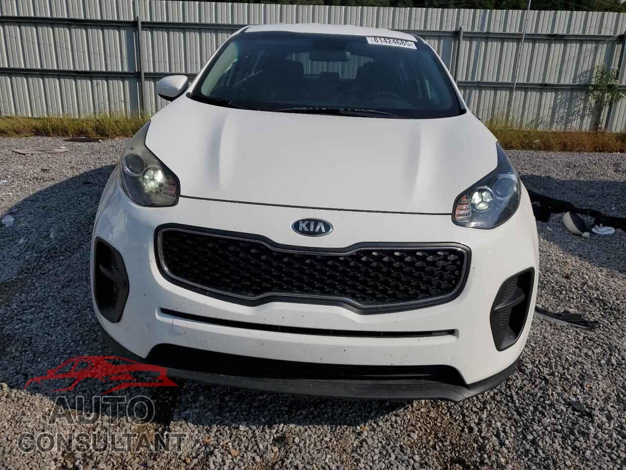 KIA SPORTAGE 2019 - KNDPM3AC1K7628124