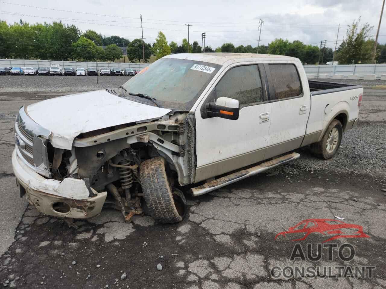 FORD F-150 2010 - 1FTFW1EV2AFD56953