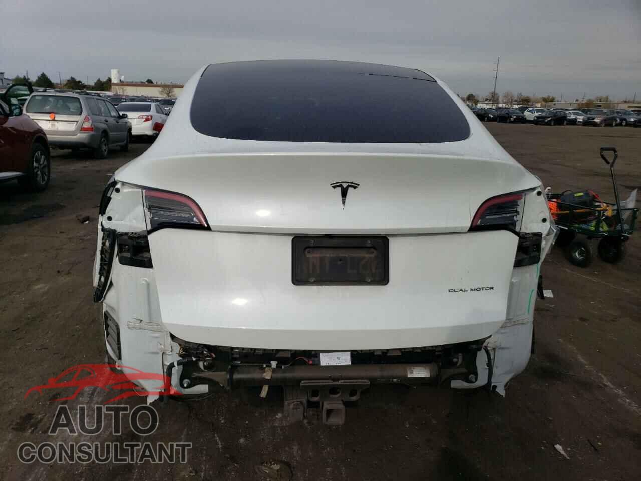 TESLA MODEL Y 2021 - 5YJYGAEE1MF213488