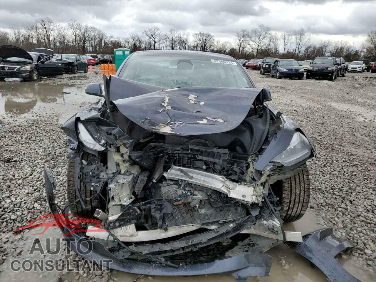 TESLA MODEL 3 2021 - 5YJ3E1EC1MF056513
