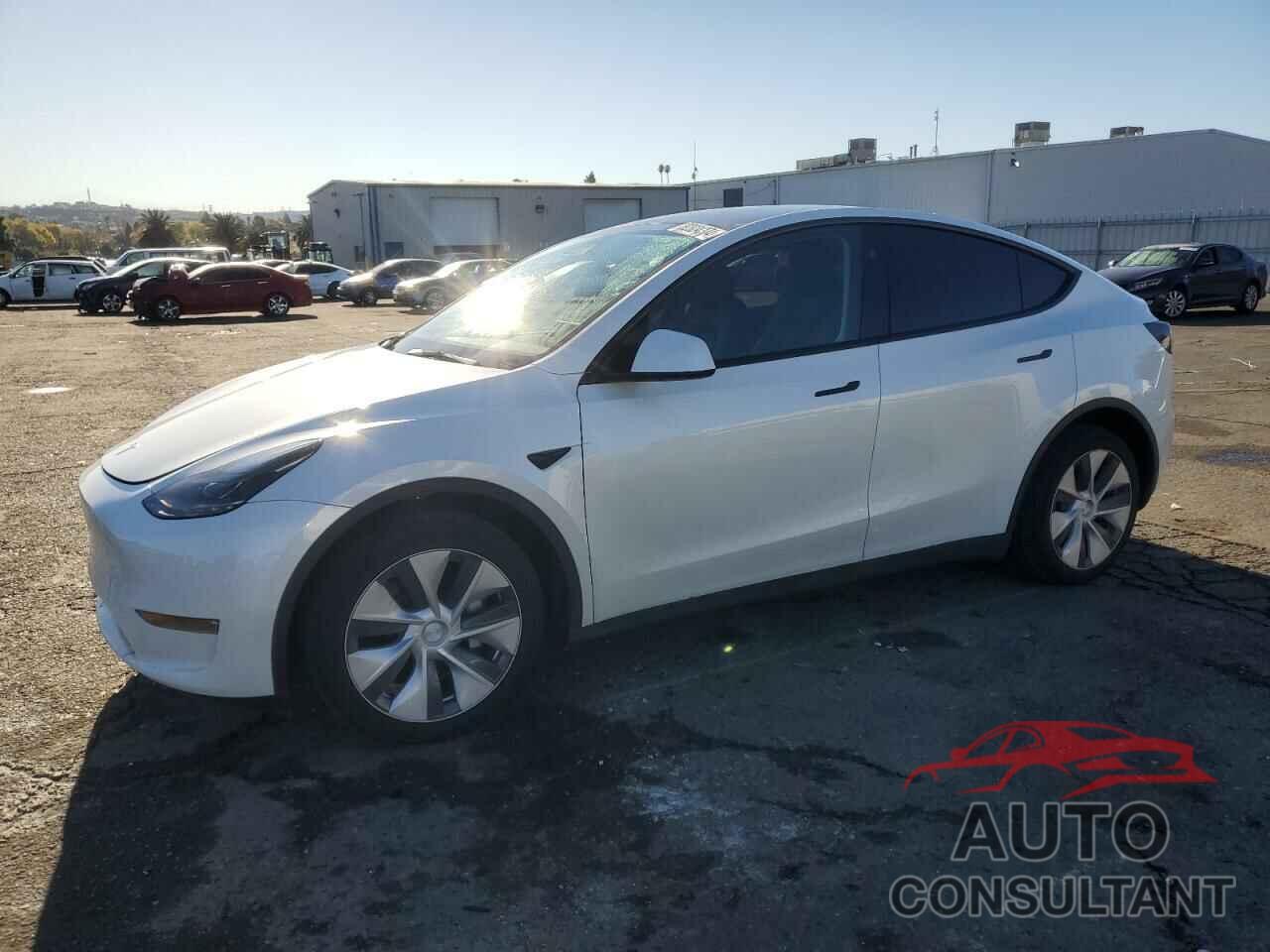 TESLA MODEL Y 2023 - 7SAYGDEE0PF835847