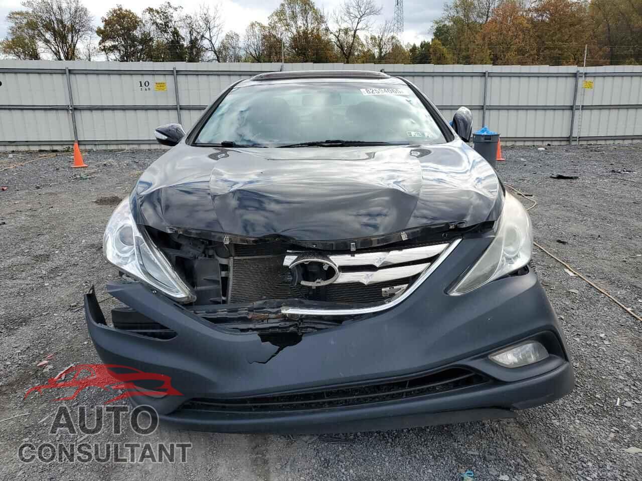 HYUNDAI SONATA 2013 - 5NPEC4AC7DH619281