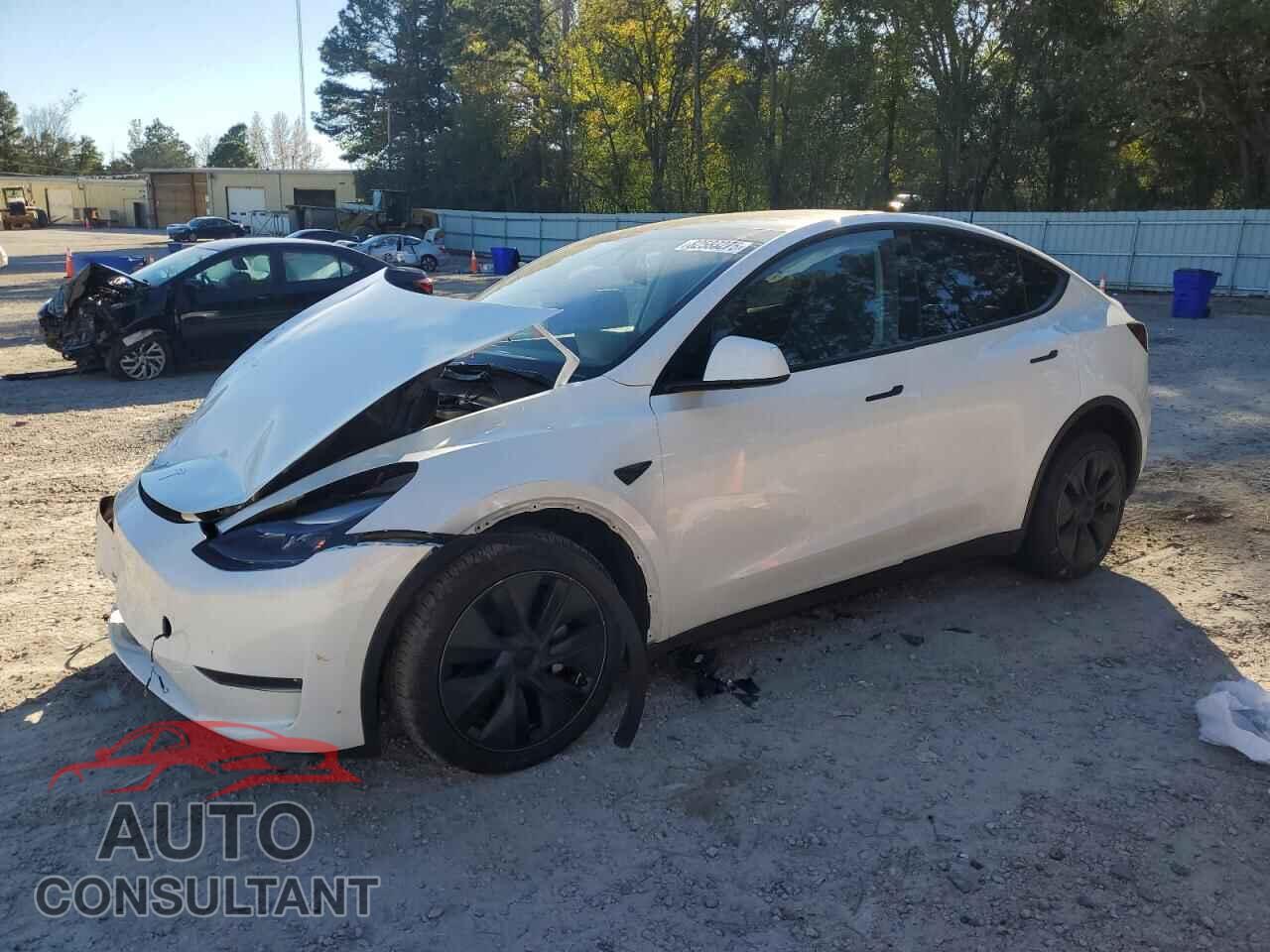 TESLA MODEL Y 2024 - 7SAYGDEE3RA333172