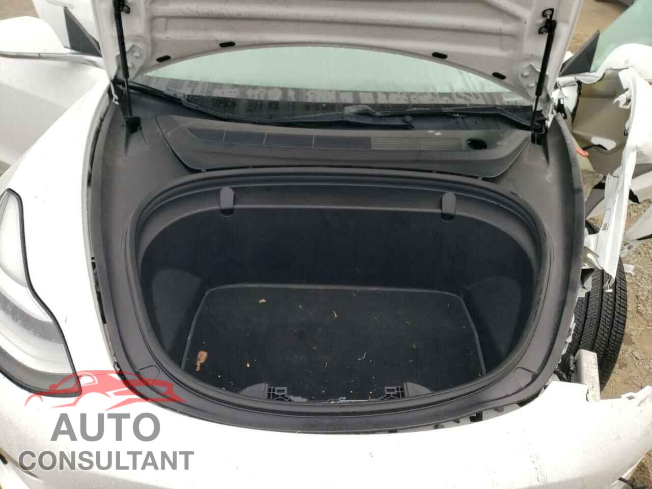 TESLA MODEL 3 2018 - 5YJ3E1EA9JF161889