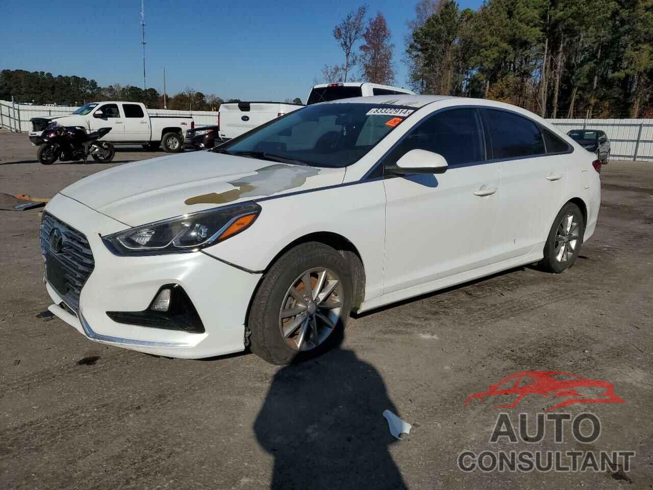 HYUNDAI SONATA 2019 - 5NPE24AF2KH735000