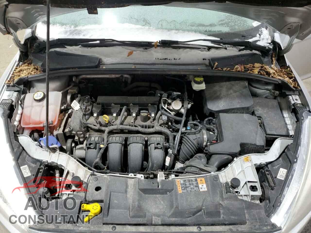 FORD FOCUS 2017 - 1FADP3K20HL267247