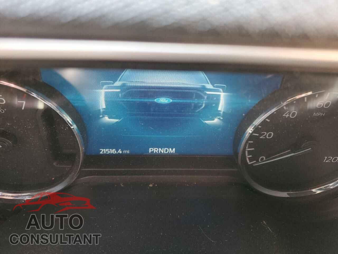FORD F-150 2022 - 1FTFX1E83NFB75003