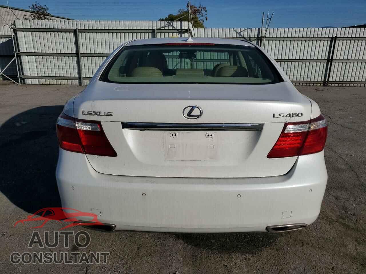 LEXUS LS460 2009 - JTHBL46F095087934