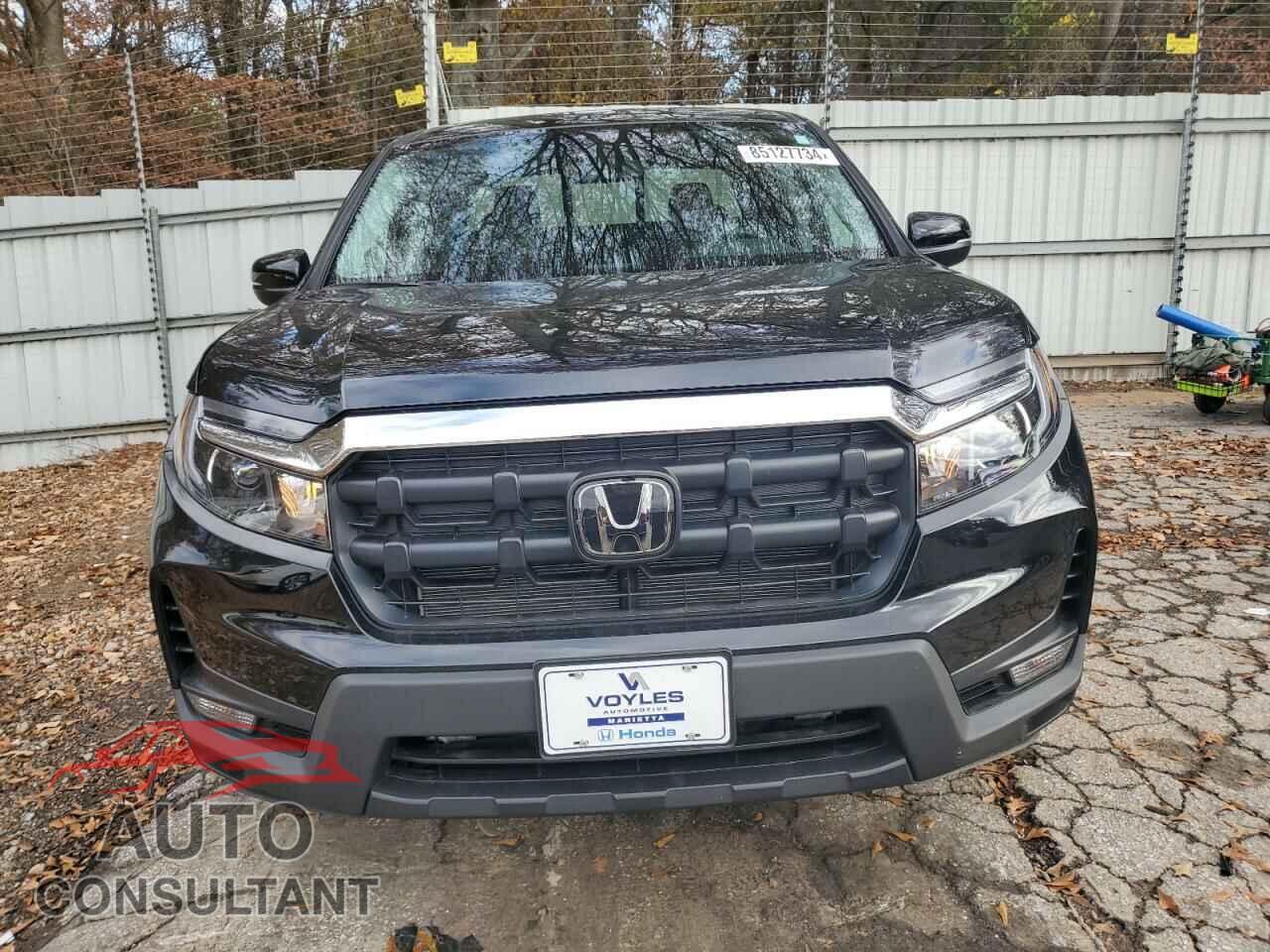 HONDA RIDGELINE 2024 - 5FPYK3F56RB030904