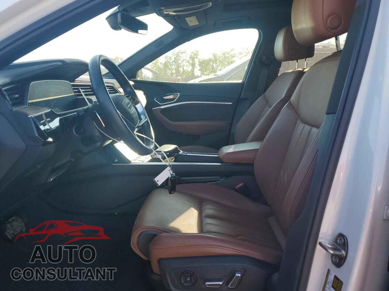 AUDI E-TRON 2019 - WA1VAAGE7KB025148