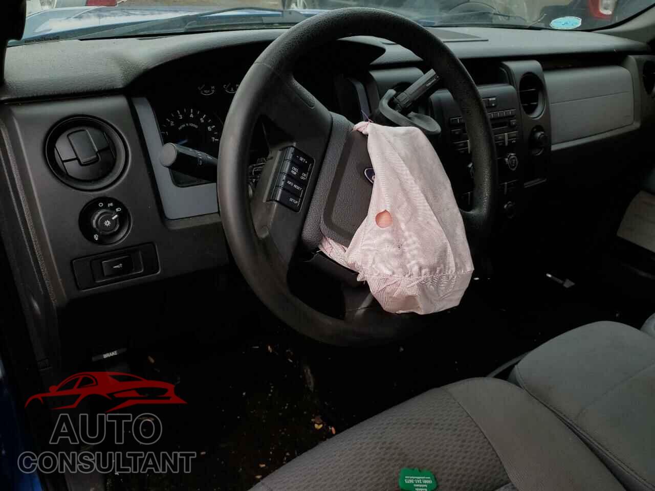 FORD F-150 2013 - 1FTFX1EF3DFD46989