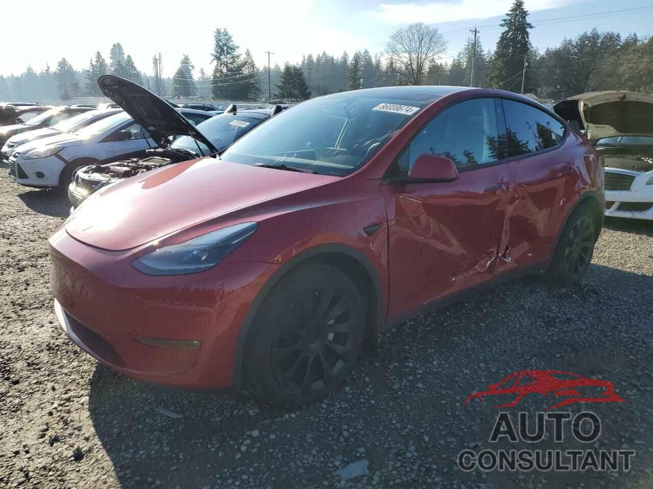 TESLA MODEL Y 2023 - 7SAYGDEEXPF692390