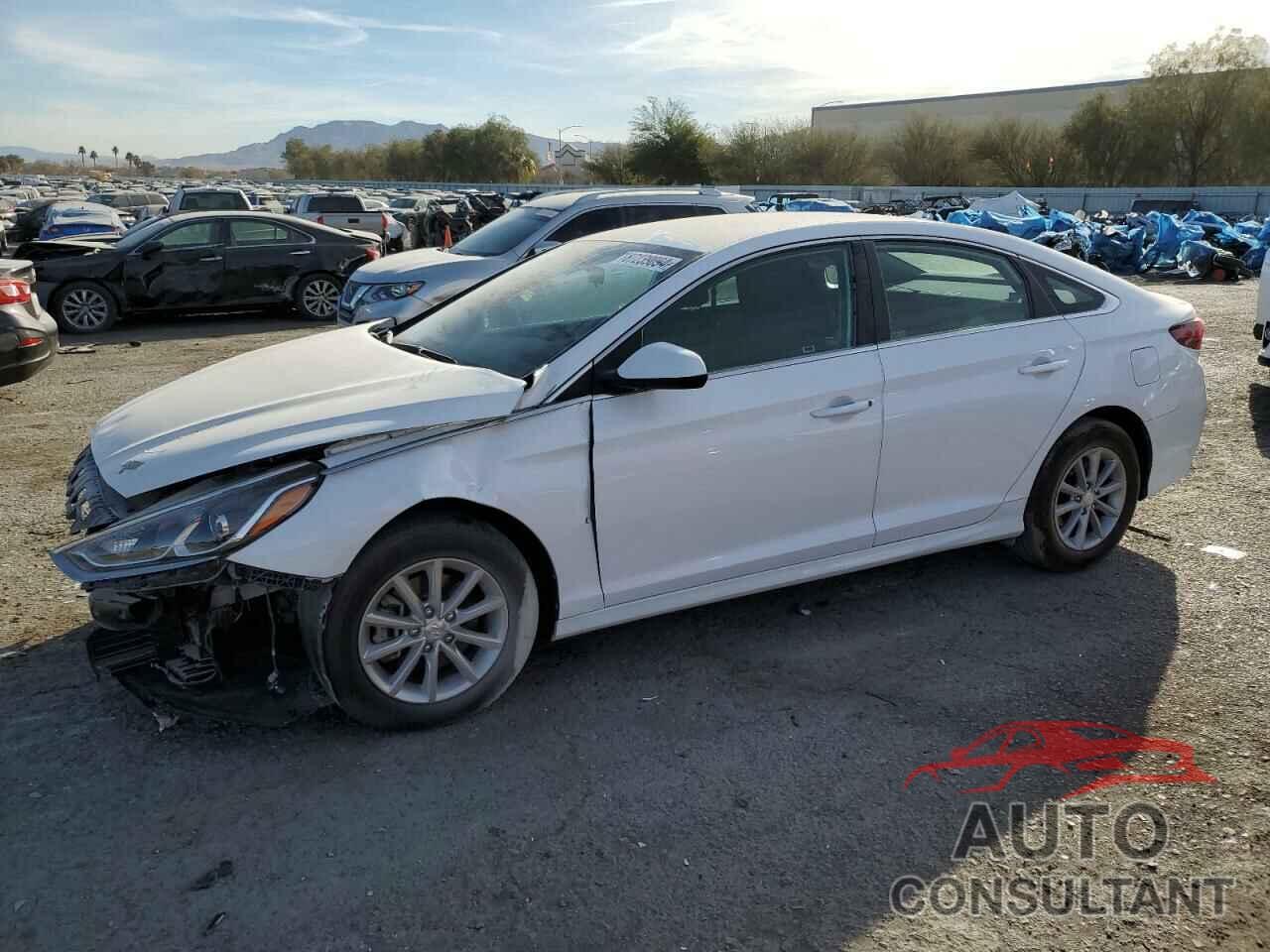 HYUNDAI SONATA 2019 - 5NPE24AF2KH787291