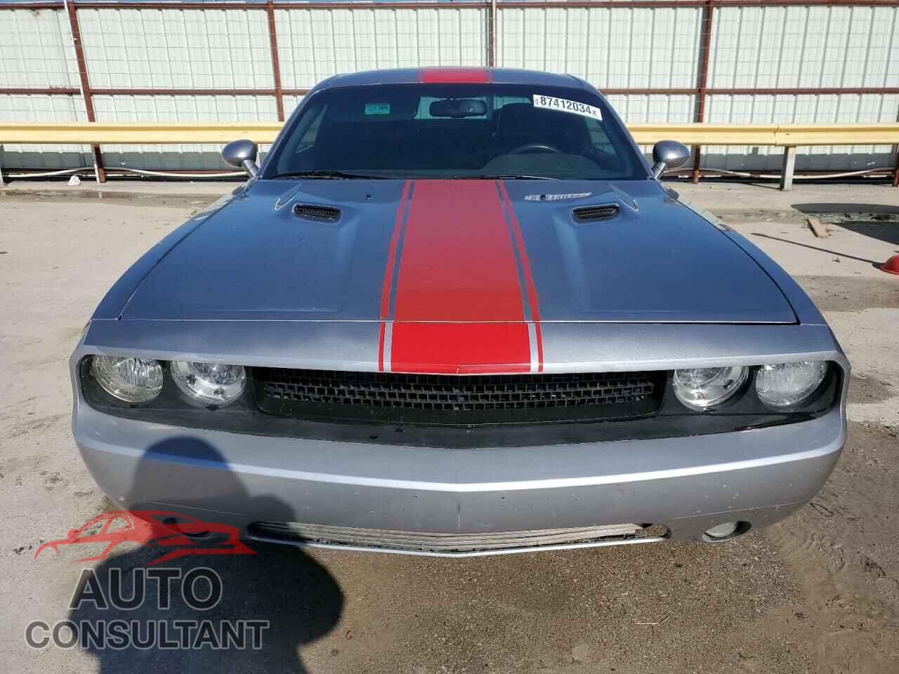 DODGE CHALLENGER 2013 - 2C3CDYAG4DH629097