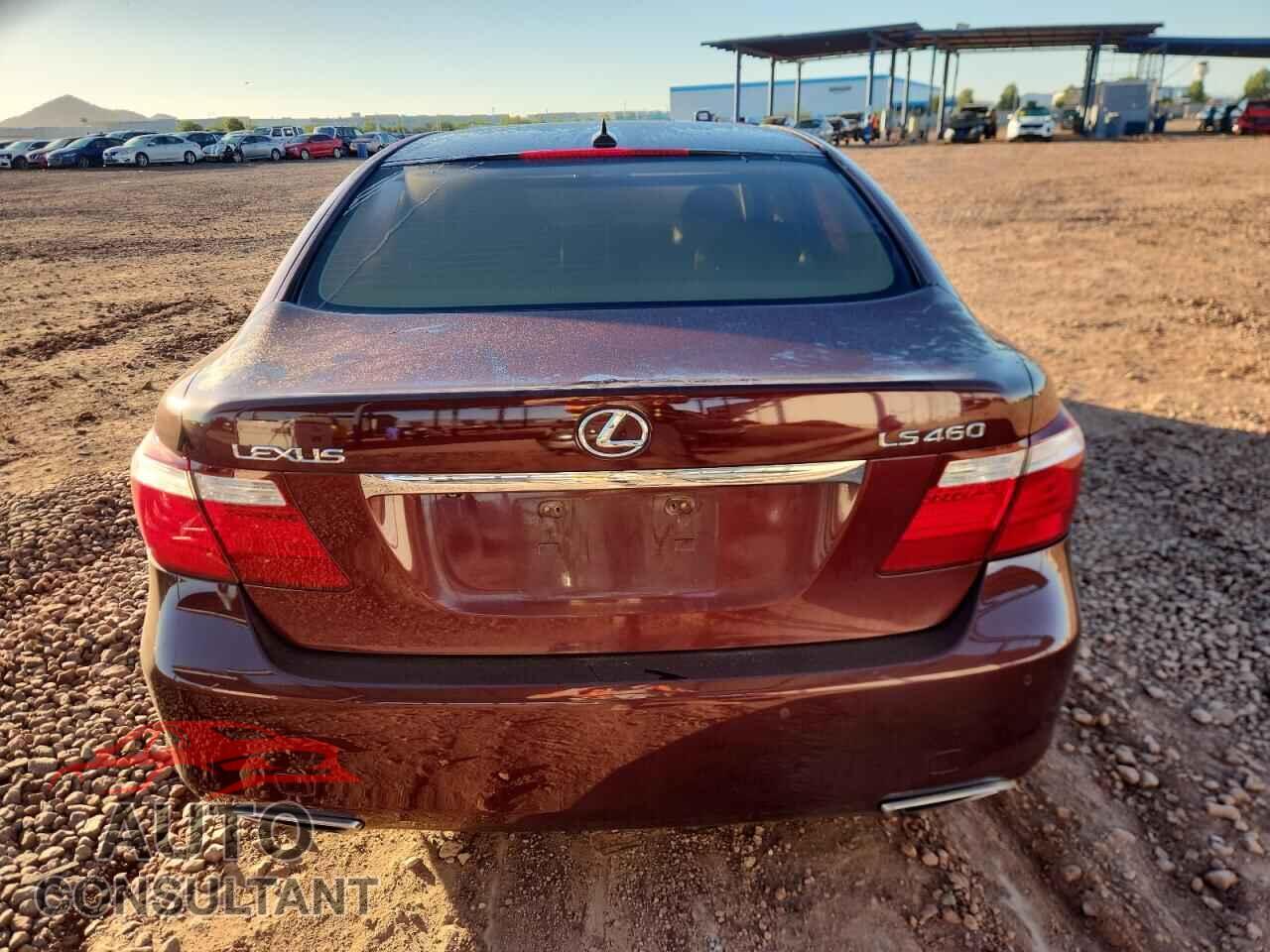 LEXUS LS460 2009 - JTHBL46F295089250