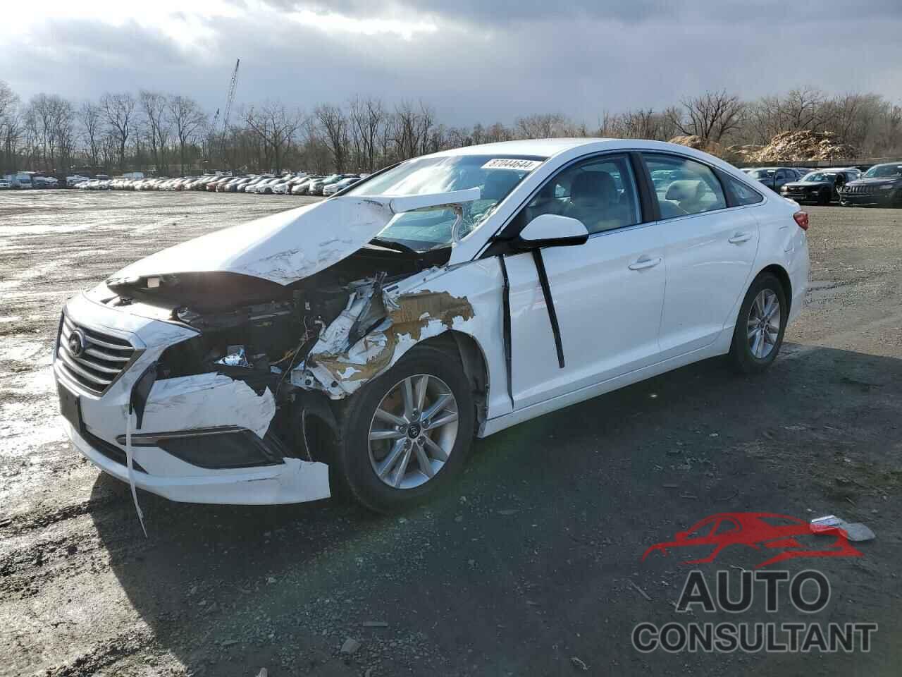 HYUNDAI SONATA 2016 - 5NPE24AF9GH384805