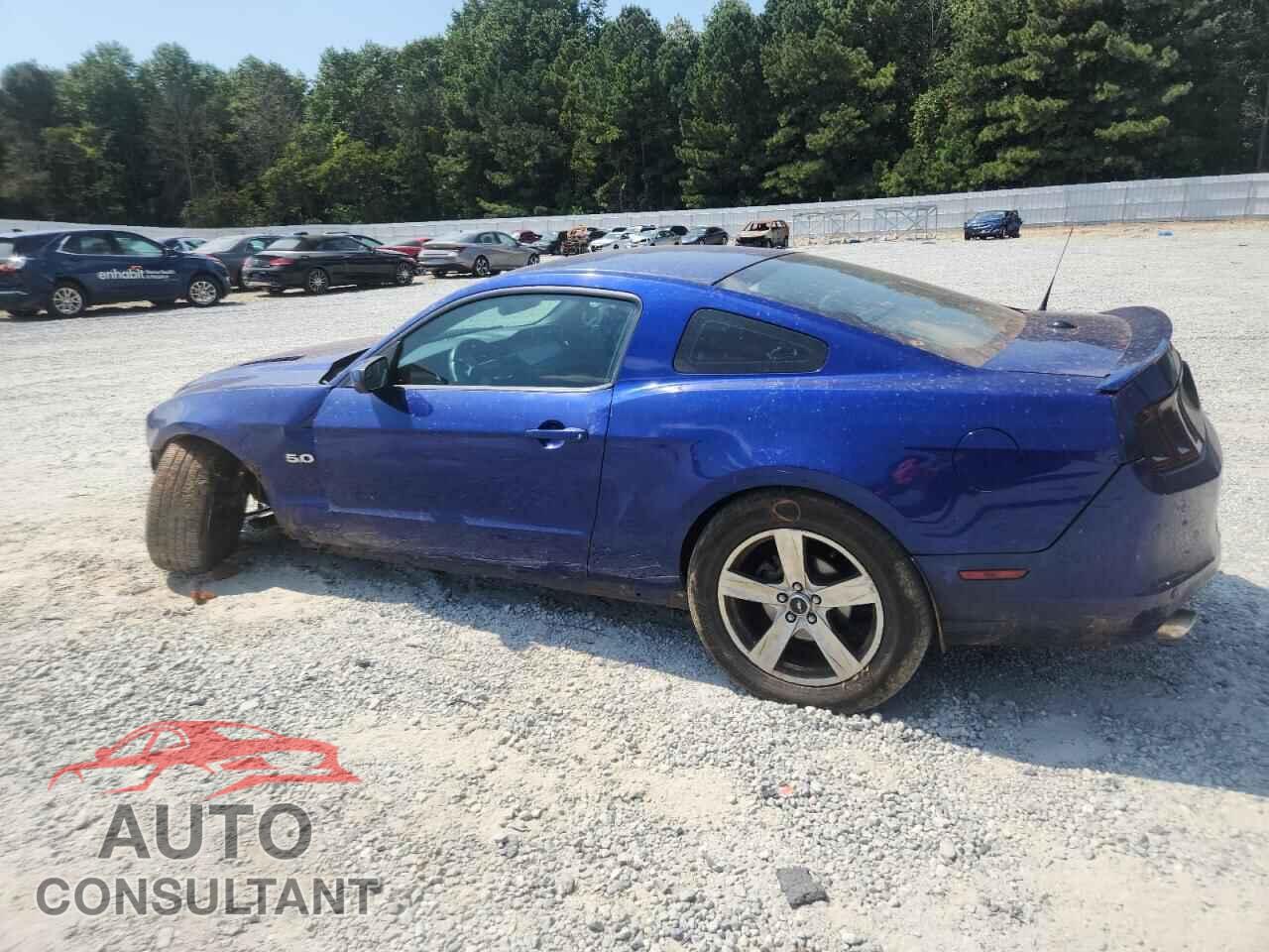 FORD MUSTANG 2014 - 1ZVBP8CF2E5258465