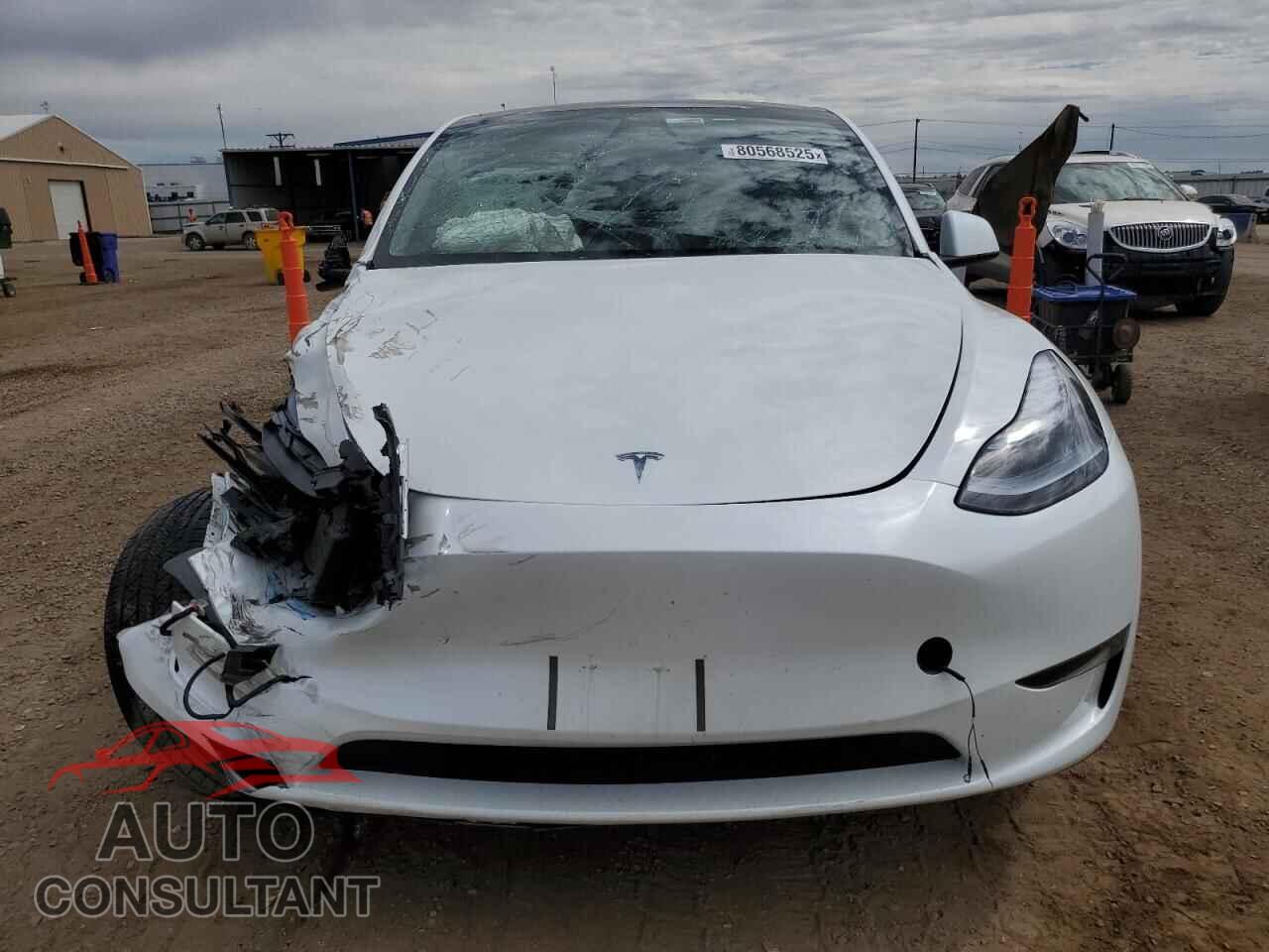TESLA MODEL Y 2024 - 7SAYGDEE8RF205643