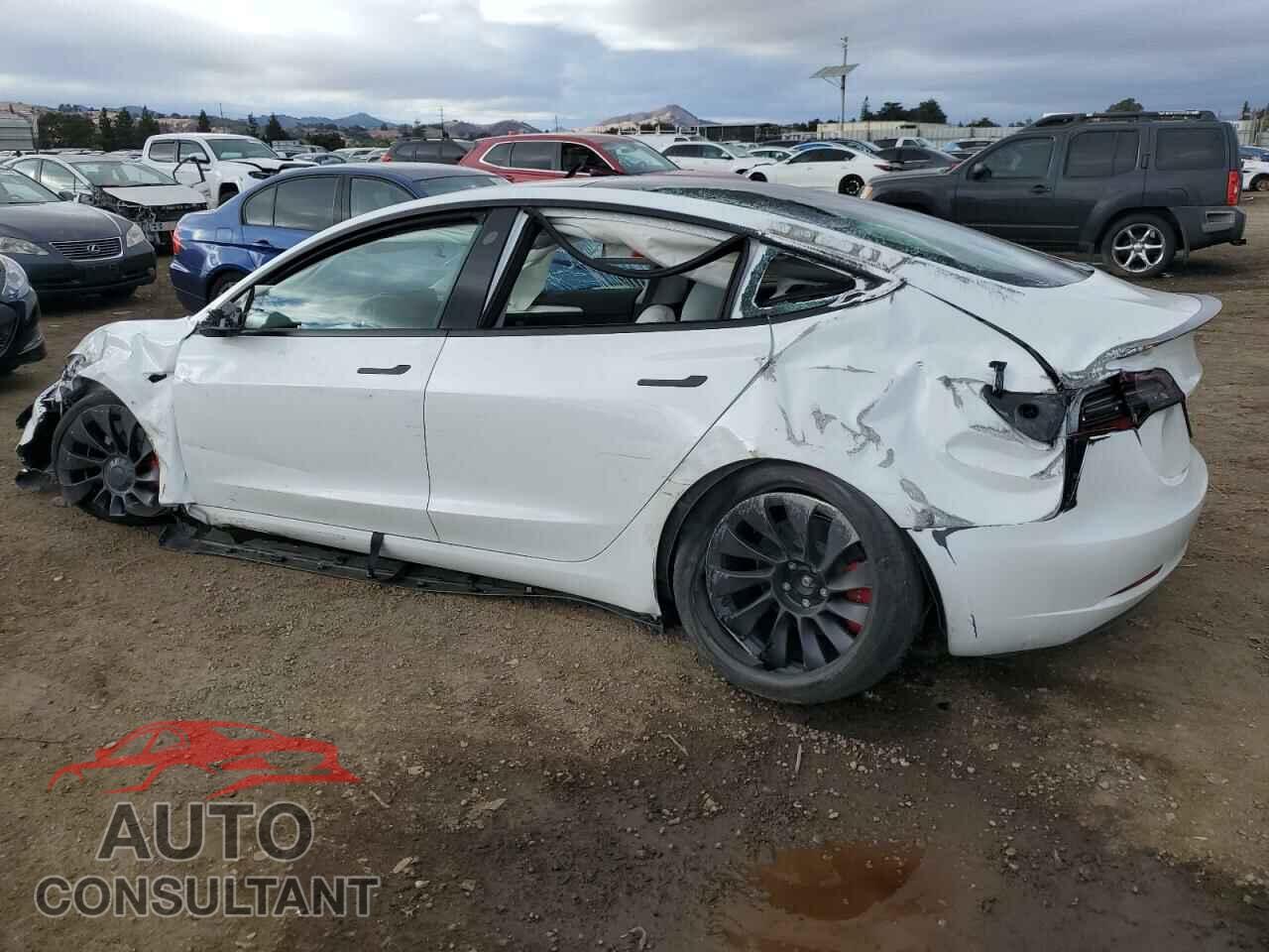 TESLA MODEL 3 2023 - 5YJ3E1EC0PF491947