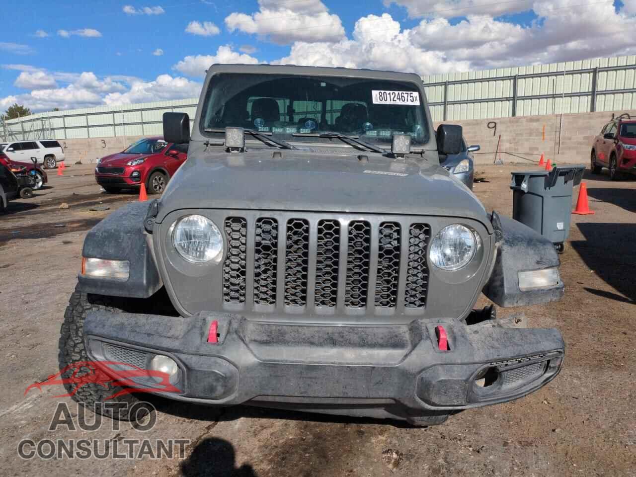 JEEP GLADIATOR 2023 - 1C6HJTAGXPL553882