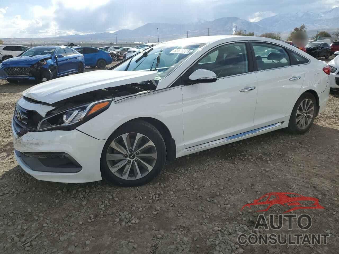 HYUNDAI SONATA 2016 - 5NPE34AF2GH325771