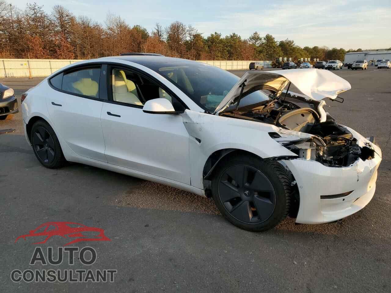 TESLA MODEL 3 2022 - 5YJ3E1EA1NF109985