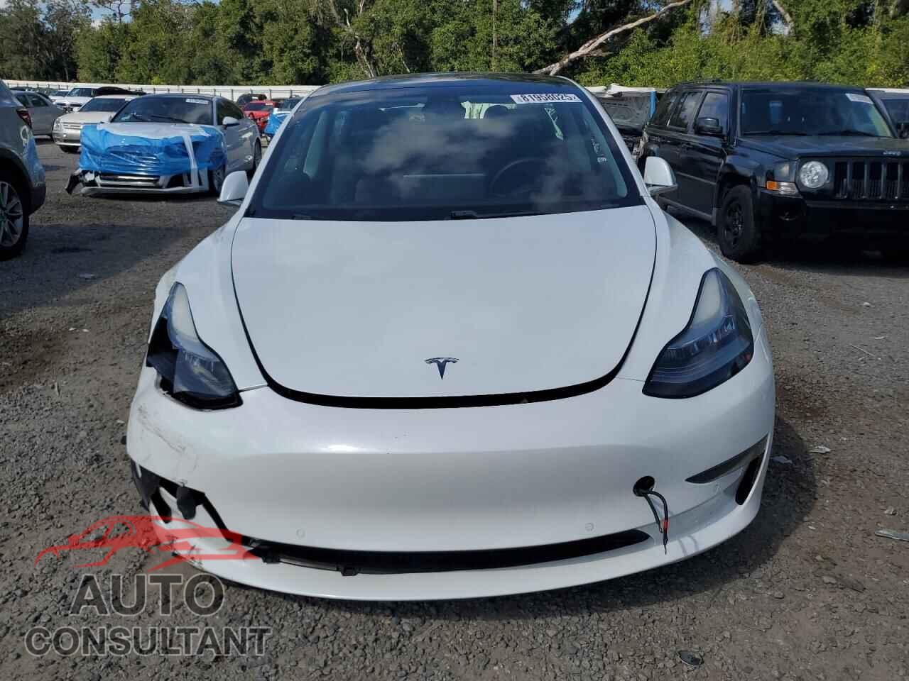 TESLA MODEL 3 2019 - 5YJ3E1EA8KF483702