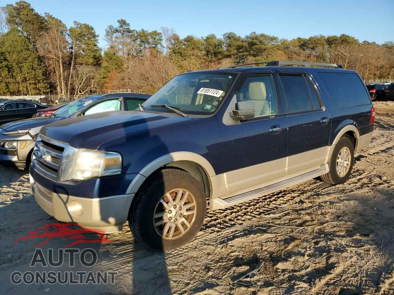 FORD EXPEDITION 2009 - 1FMFK18539EB10658