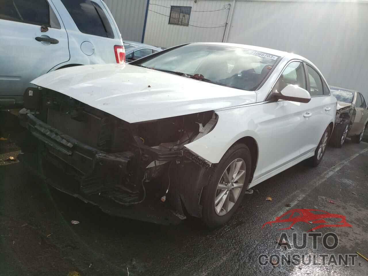 HYUNDAI SONATA 2019 - 5NPE24AF0KH758548