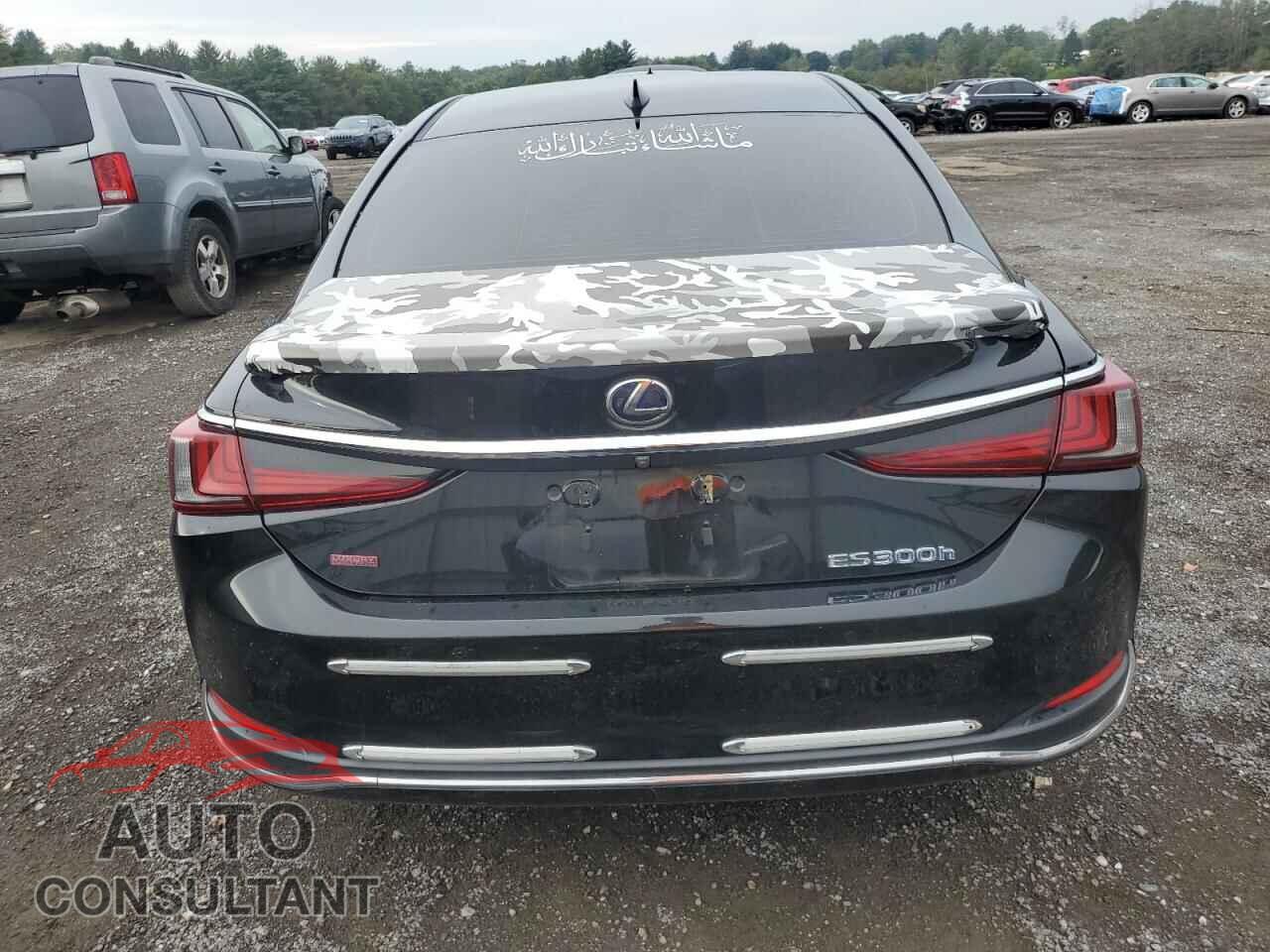LEXUS ES300 2019 - JTHB21B18K2025023