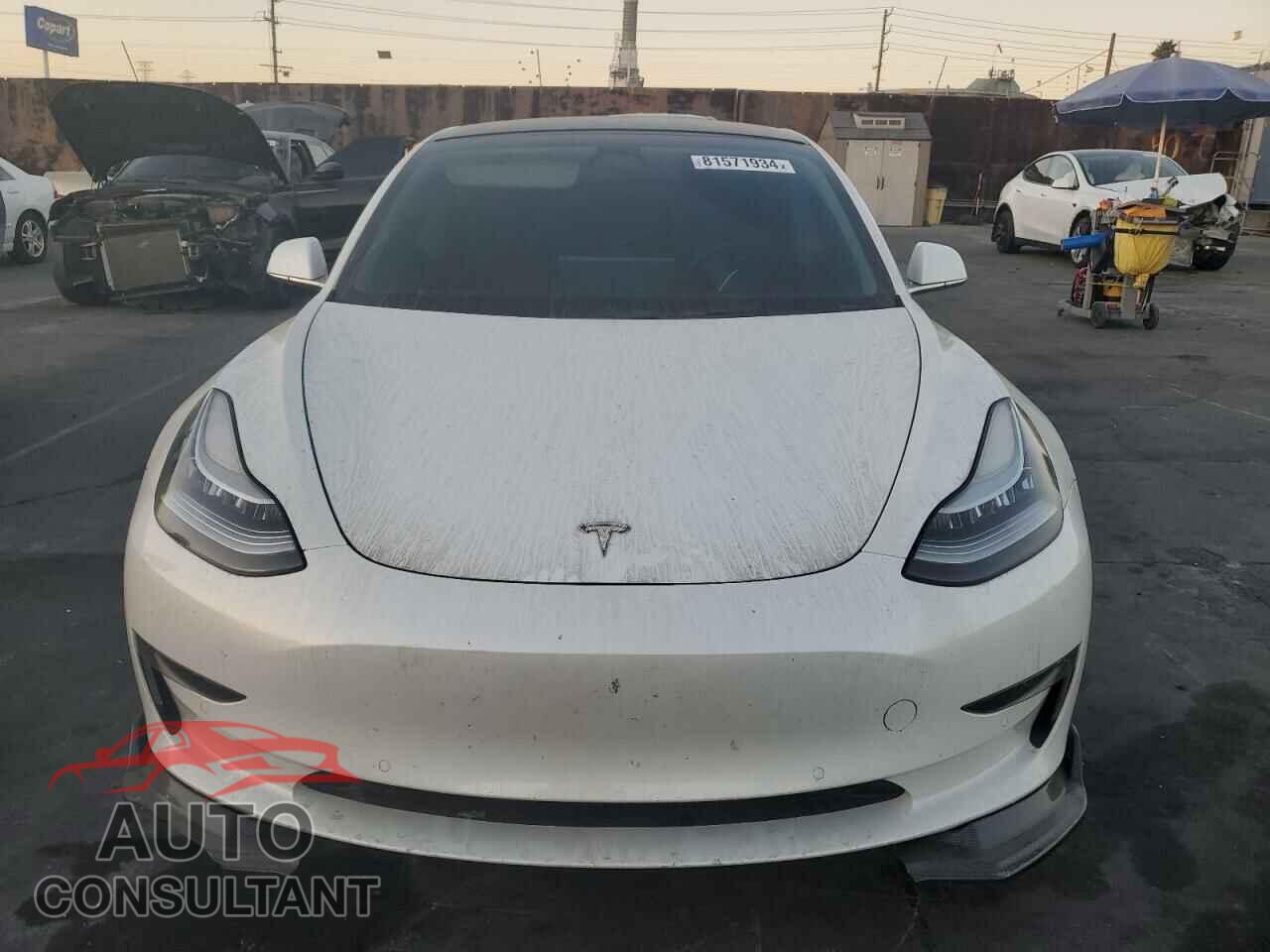 TESLA MODEL 3 2019 - 5YJ3E1EA2KF425200