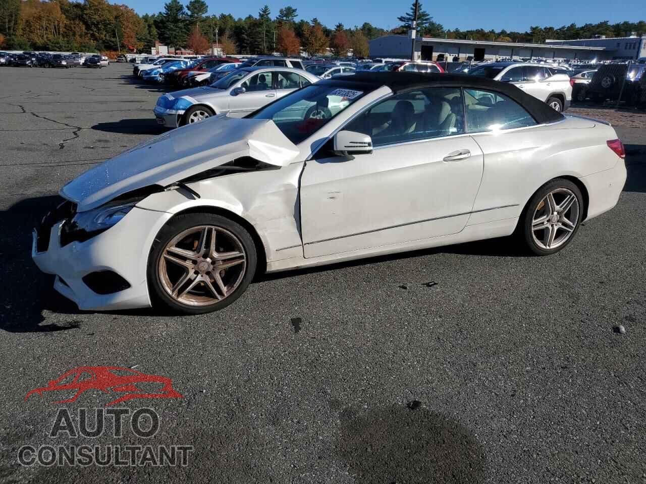 MERCEDES-BENZ E-CLASS 2014 - WDDKK5KFXEF265942