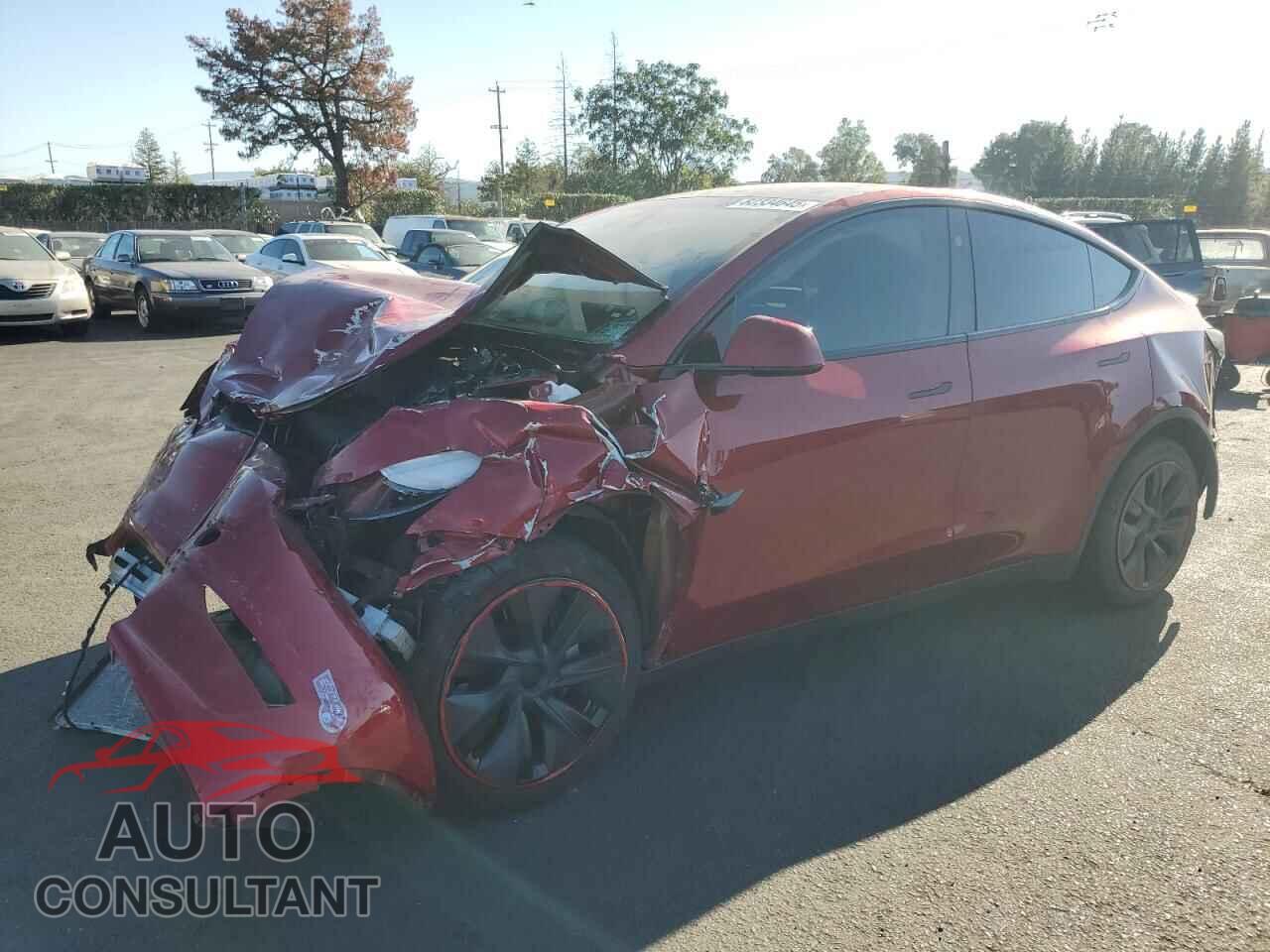 TESLA MODEL Y 2024 - 7SAYGDED4RF201869
