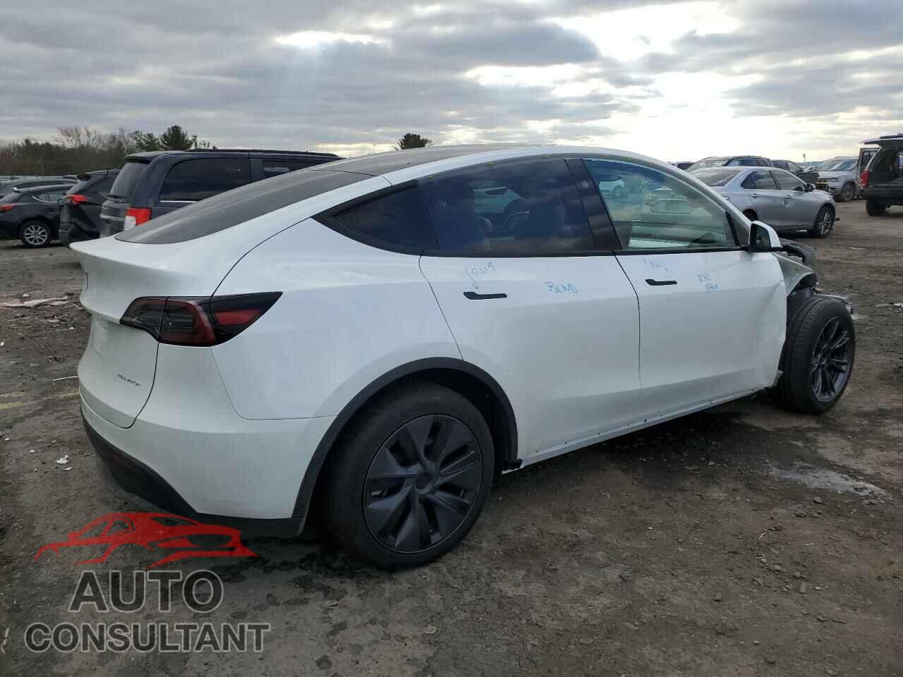 TESLA MODEL Y 2024 - 7SAYGAEEXRF185331