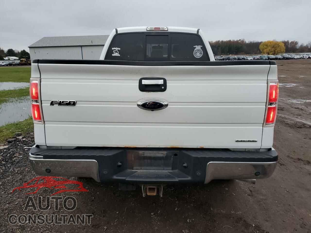 FORD F-150 2013 - 1FTFW1EF2DFB01426