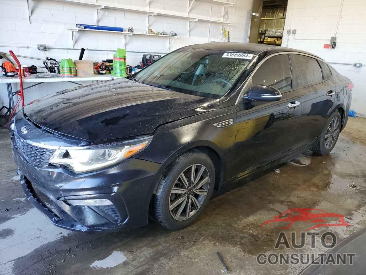 KIA OPTIMA 2019 - 5XXGT4L31KG356025