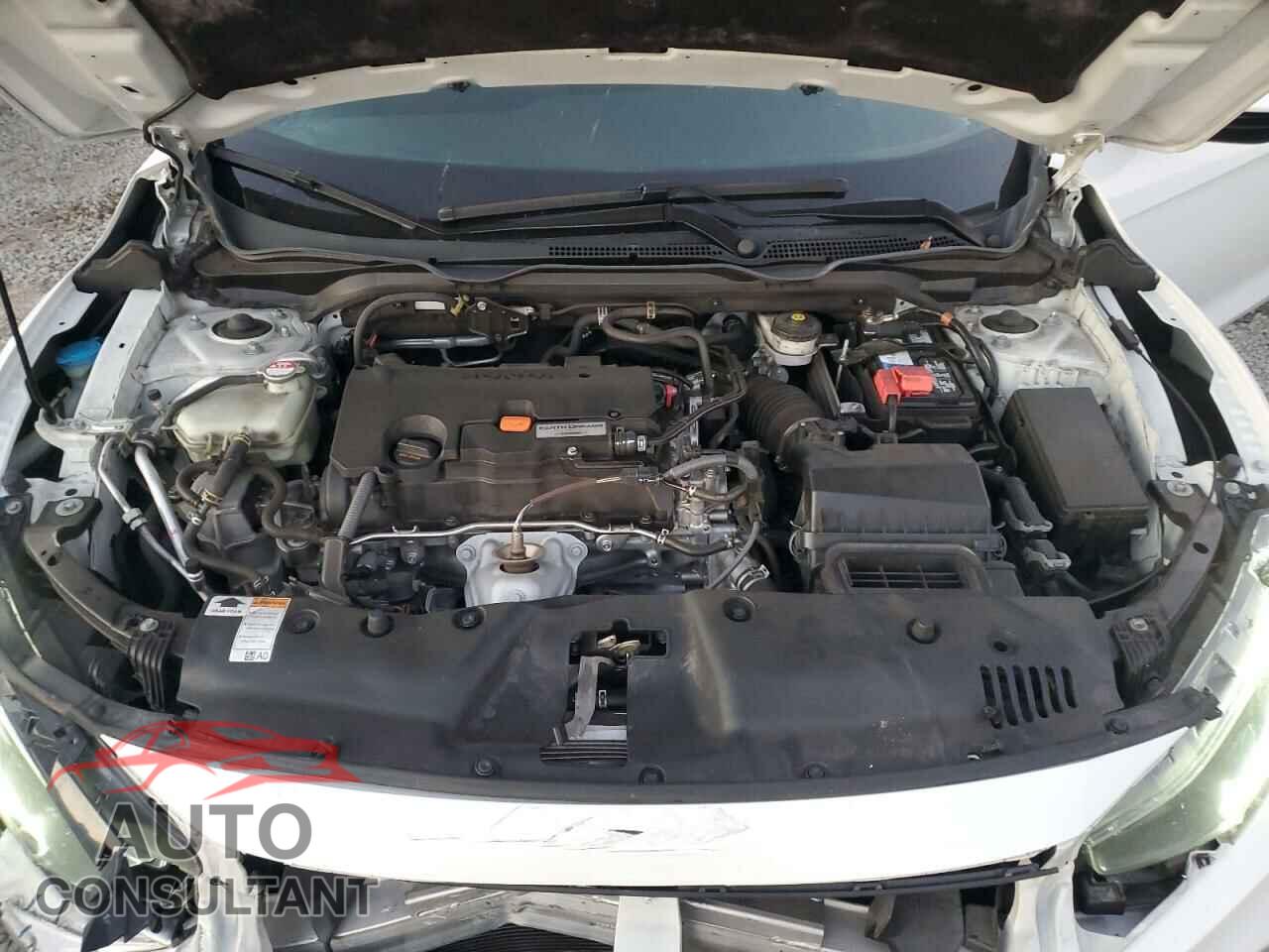 HONDA CIVIC 2019 - 2HGFC4B61KH304366