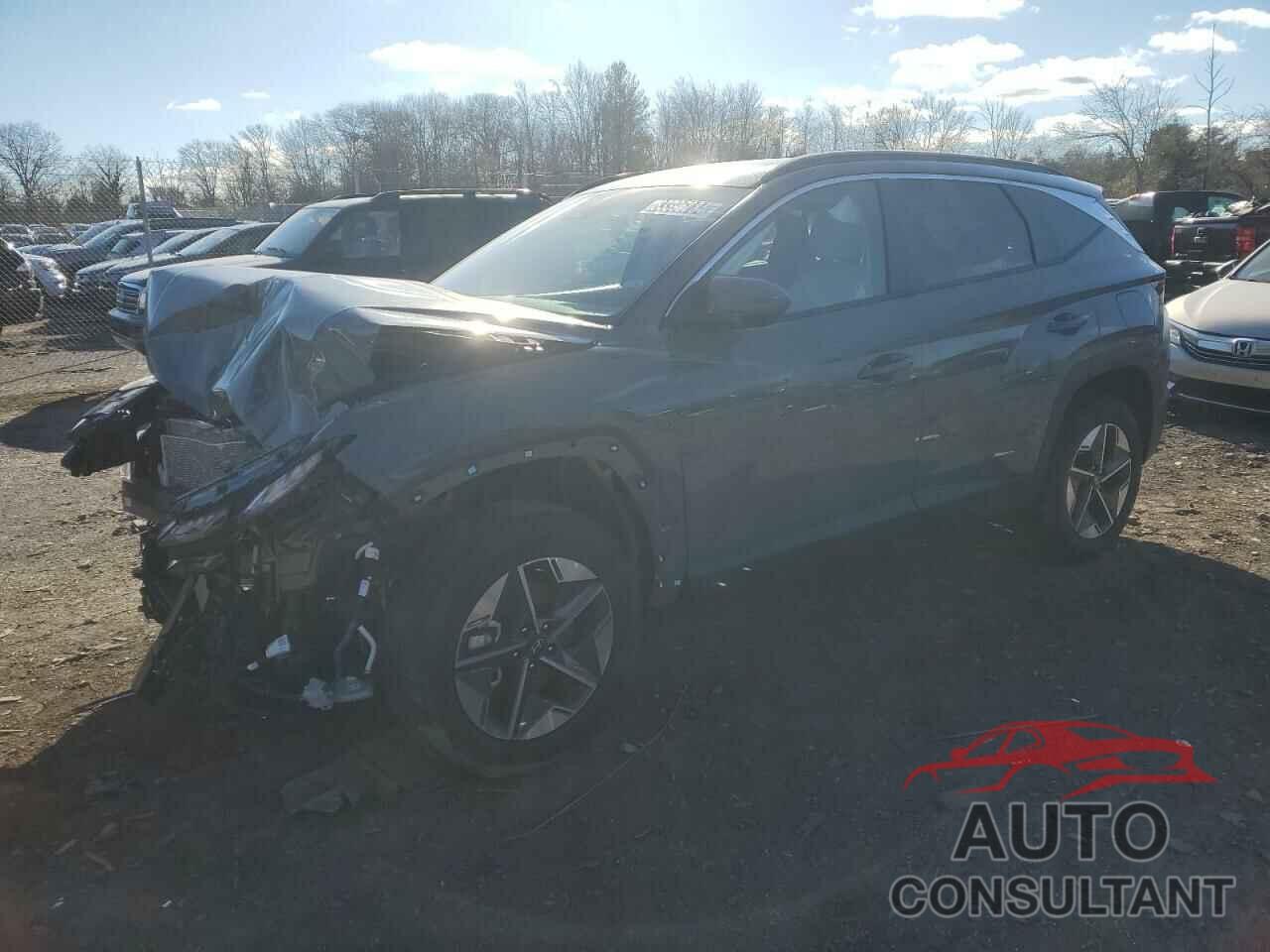 HYUNDAI TUCSON 2025 - 5NMJBCDE2SH464772