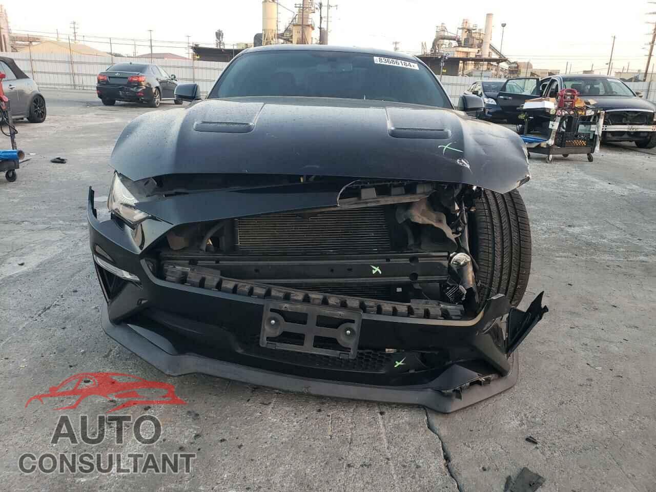 FORD MUSTANG 2019 - 1FA6P8CF2K5175513